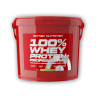 100% Whey Protein Professional 5000g - vanilkový