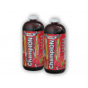 2x ChampION Športový palivový koncentrát 1000ml - kivi