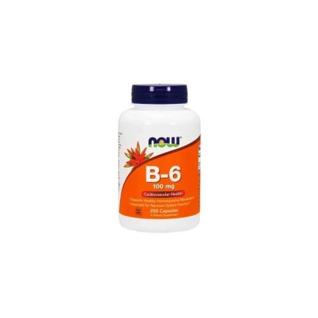 NOW FOODS Vitamín B6 100 mg 250 kapsúl