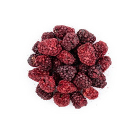 Černice lyofilizované Jumbo - 100g
