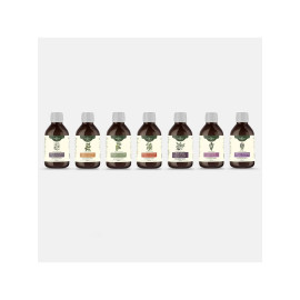 Bühnerov protokol tinktúry Lymská borelióza - EXTENDED - *250ml*