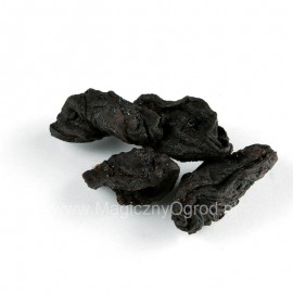 Garcinia plod - Garcinia cambodia - 500g vcelku