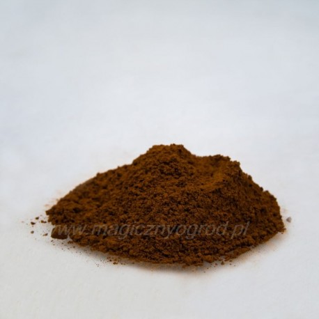 Čaga - Ryšavec šikmý - Inonotus obliquus - 100g mletý