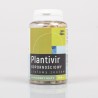 Plantivir - bylinná zostava podľa Buhnera - imunita 100 kapsúl