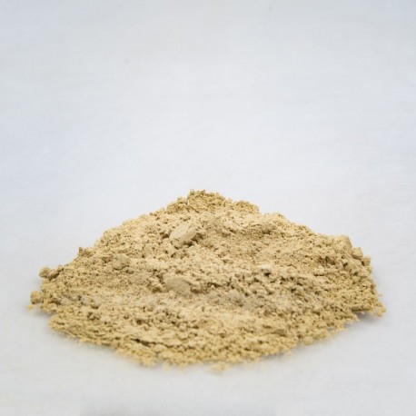 Archangelika koreň - Angelica archangelica - 100g sekaný