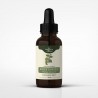 Krídlatka japonská tinktúra 1:1 50 ml - Polygonum cuspidatum - 50ml