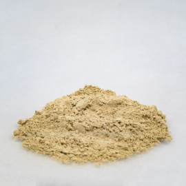 Archangelika koreň - Angelica archangelica - 250g sekaný