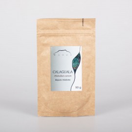 Calaguala podzemok - Phlebodium aureum - 50g mletý