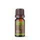 Olej Borovica lesná - 100% esenciálny olej - 10ml - Pinus sylvestris