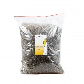 Divozel veľkokvetý - Verbascum thapsiforme - 5kg