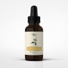 Cryptolepis sanguinolenta tinktúra 1:1 50 ml