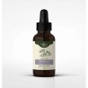Brahmi tinktúra 1:1 50 ml - Bacopa monnieri - 50ml