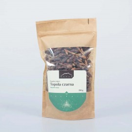 Topoľ čierny - Populus nigra - 250g púčiky