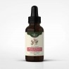 Pau d'arco - Lapacho tinktúra 1:1 - Tabebuia impetiginosa - 50ml