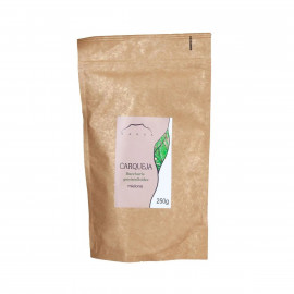 Carqueja - Baccharis genistelloides - 250g mletý