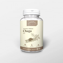 Čaga - Ryšavec šikmý - Inonotus obliquus - extrakt (100 kapsúl x 300mg)