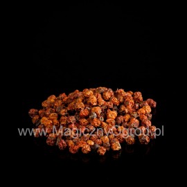 Jarabina vtáčia plod - Sorbus aucuparia - 250g vcelku