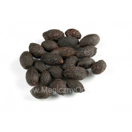 Saw Palmetto extrakt 45% - Serenoa repens - 25g