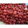 Červená paprika - Schinus terebinhifolius - 50g vcelku