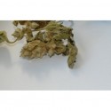 Herbal tops